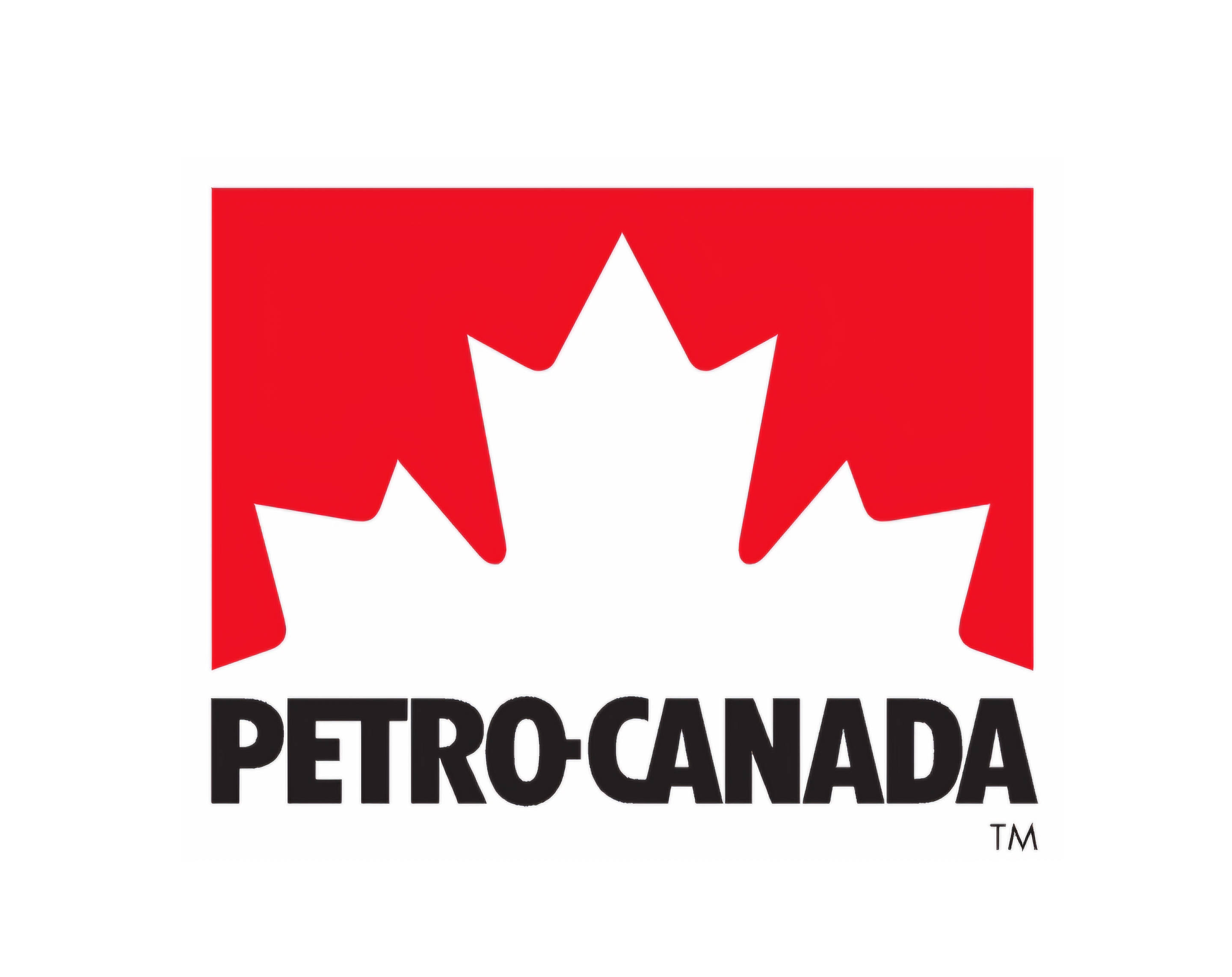 Safety Partner Organization Logo